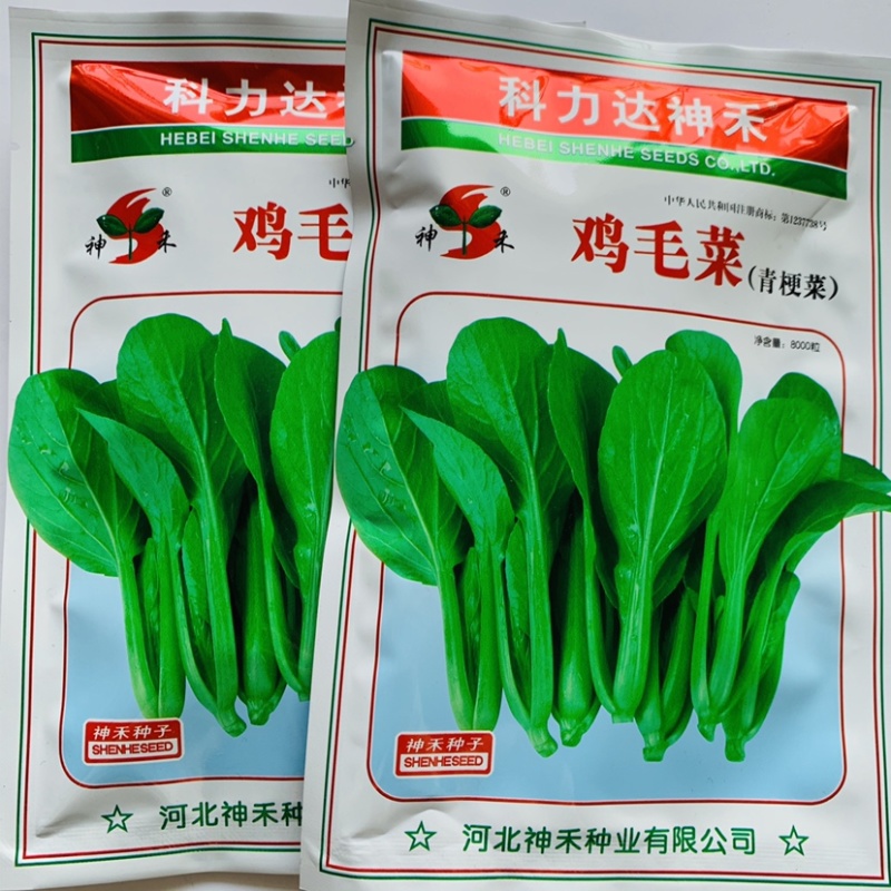 神禾鸡毛菜种子青梗菜种子四季种植蔬菜耐寒耐热小青菜