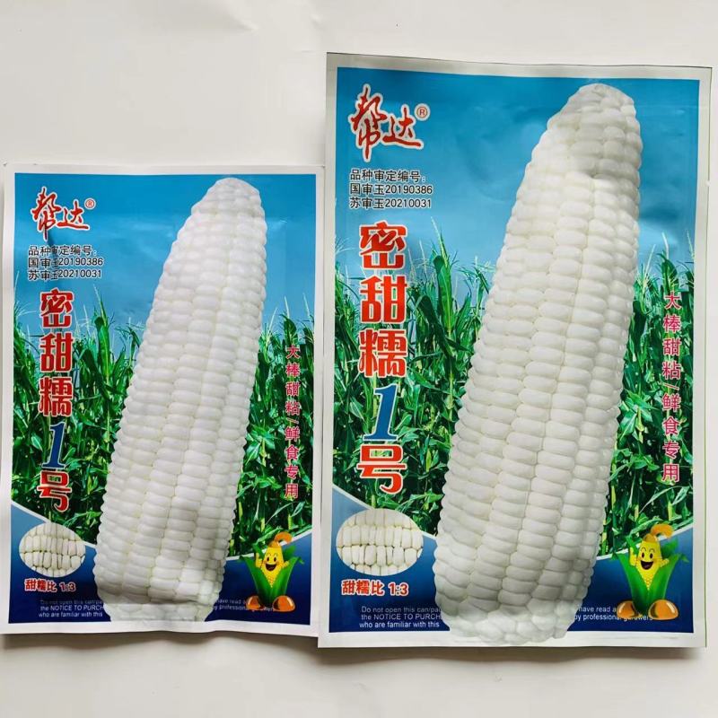 帮达密甜糯1号白糯玉米种子大棒甜粘鲜食专用北方玉米