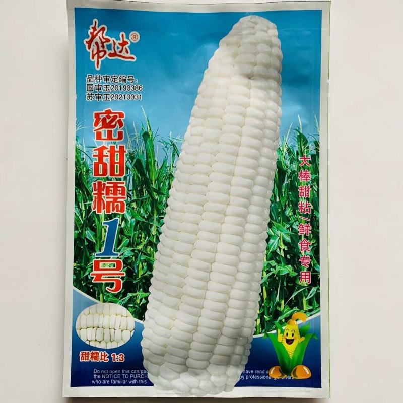 帮达密甜糯1号白糯玉米种子大棒甜粘鲜食专用北方玉米