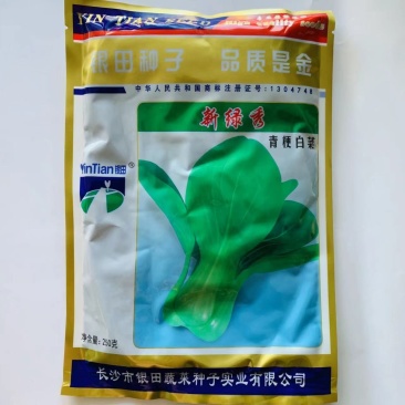 银田新绿秀青梗白菜种子抗高温耐雨水束腰矮桩青菜种子