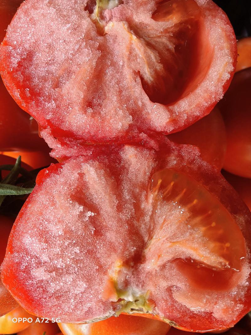 山东优质硬粉大红西红柿全年批发量大从优货源充足