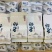 天然高山野红茶茶正山小种金骏眉桐木关500g