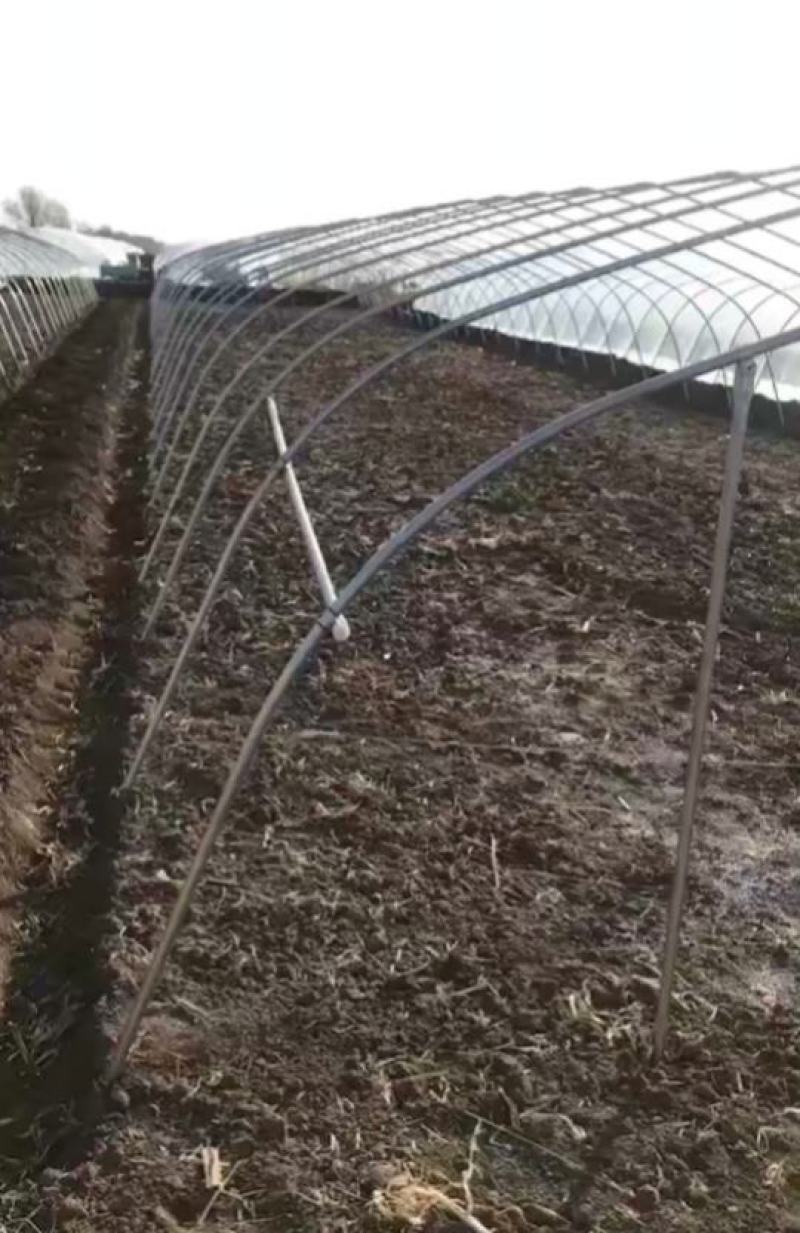 简易插地种植棚骨架棚膜带通风质量好价格低