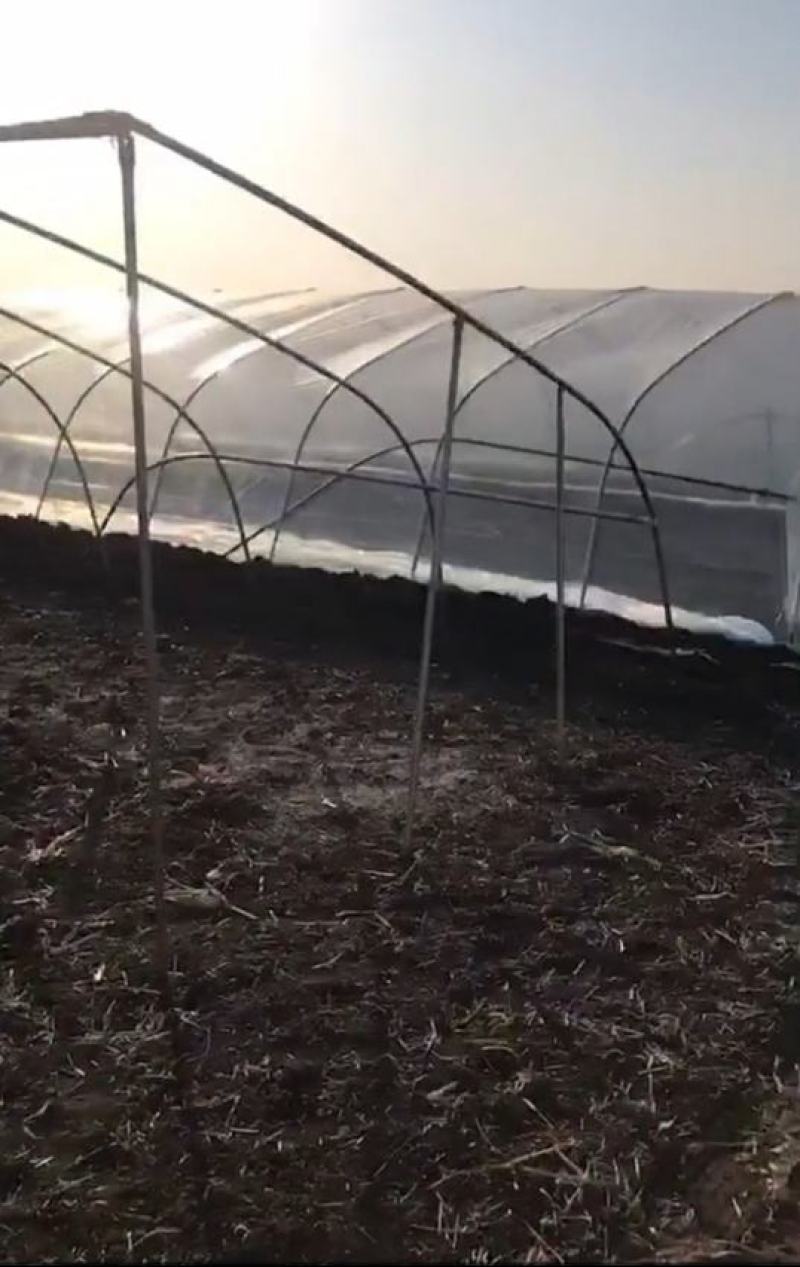 简易插地种植棚骨架棚膜带通风质量好价格低
