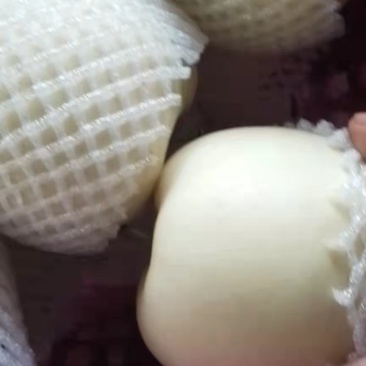 黄元帅苹果套网箱装，一二级果，大量有货，富士苹果，飓风葡