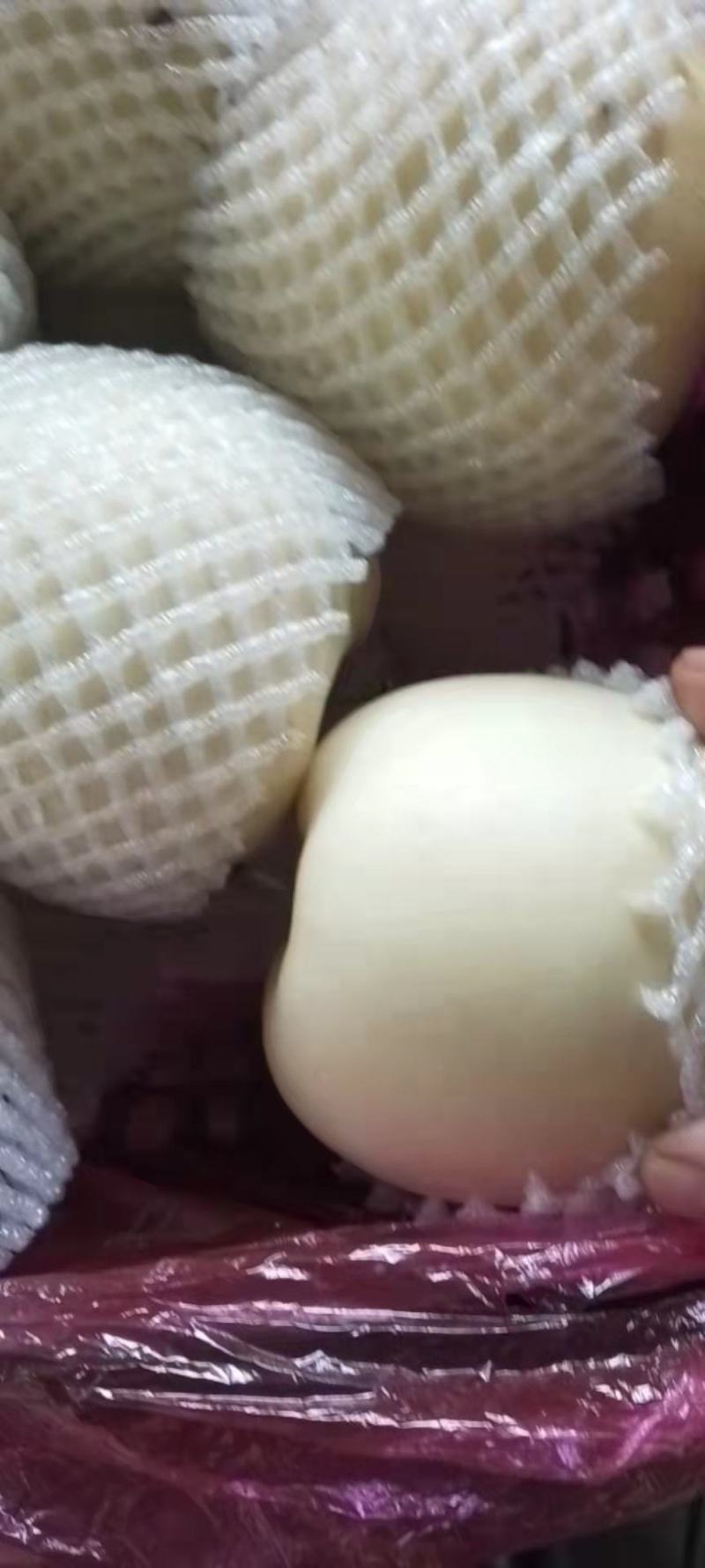 黄元帅苹果套网箱装，一二级果，大量有货，富士苹果