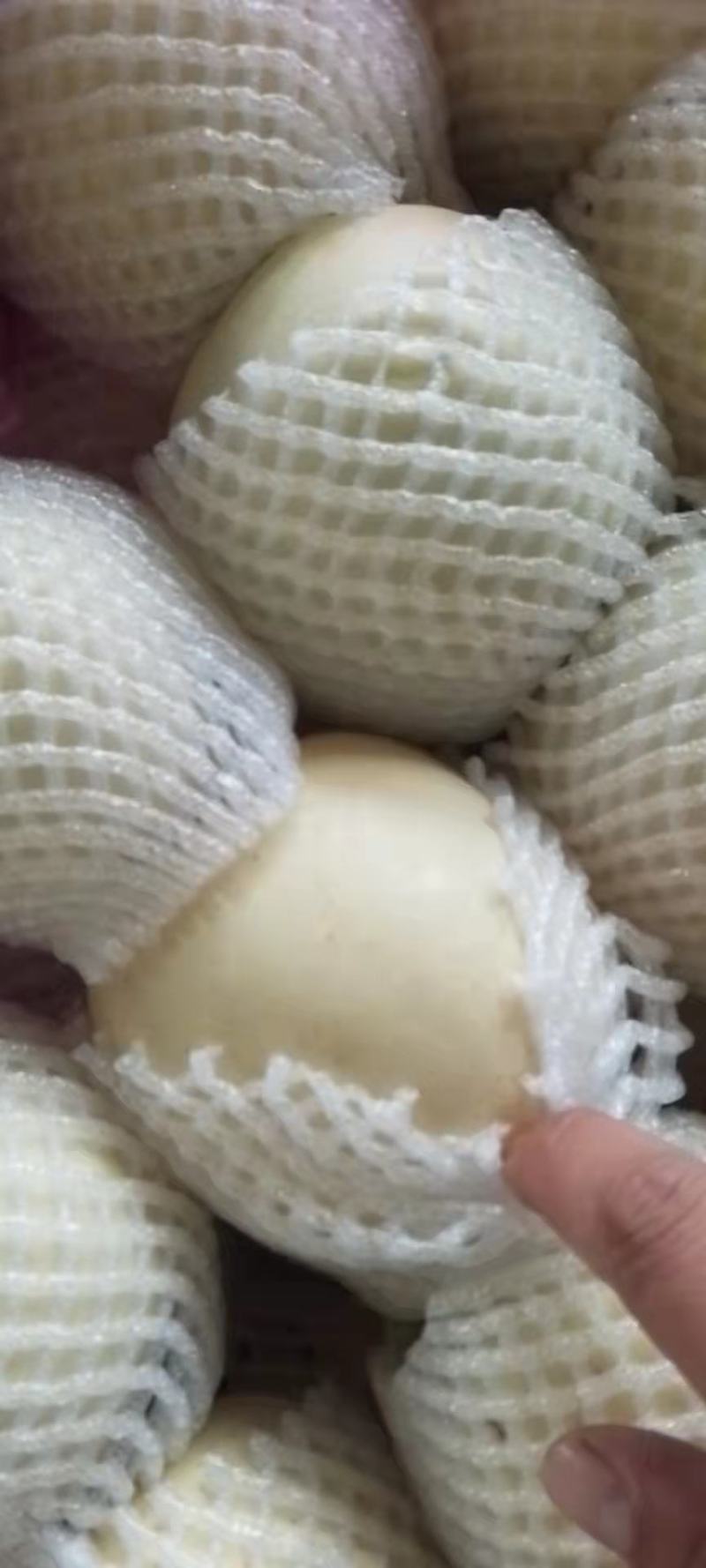 黄元帅苹果套网箱装，一二级果，大量有货，富士苹果