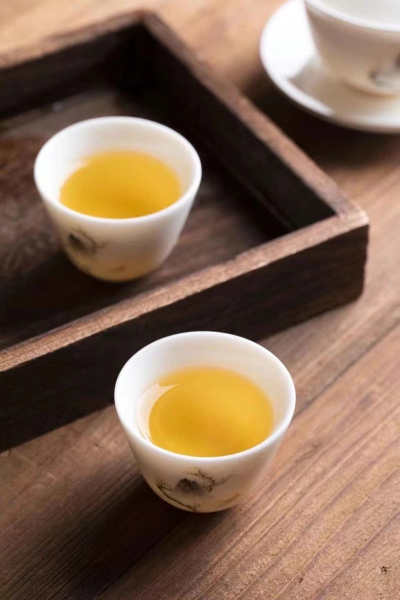 冻顶乌龙茶冷泡茶浓香礼盒装500克