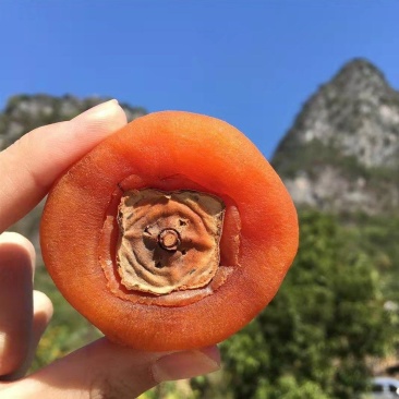 广西桂林柿饼干果柿饼电商商超批发圆饼吊饼广西优质柿饼子