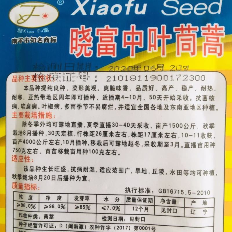 晓富中叶茼蒿种子耐热耐寒爽脆味香全国四季种植蓬蒿菜种子