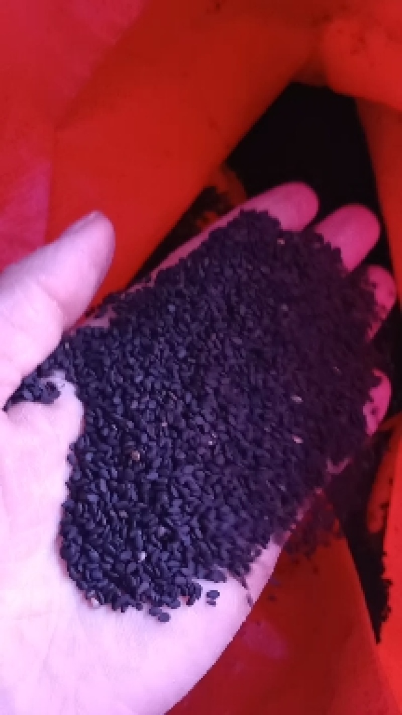 巴马特产黑芝麻小颗粒黑糠芝麻味道清香药食两用中药材！