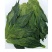 猴魁绿茶新茶木箱装500克