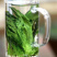猴魁绿茶新茶木箱装500克