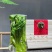 猴魁绿茶新茶木箱装500克