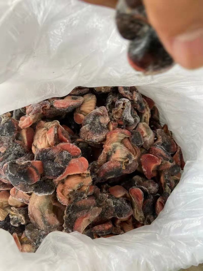 乌鸡胗有货价格便宜需要的老板联系