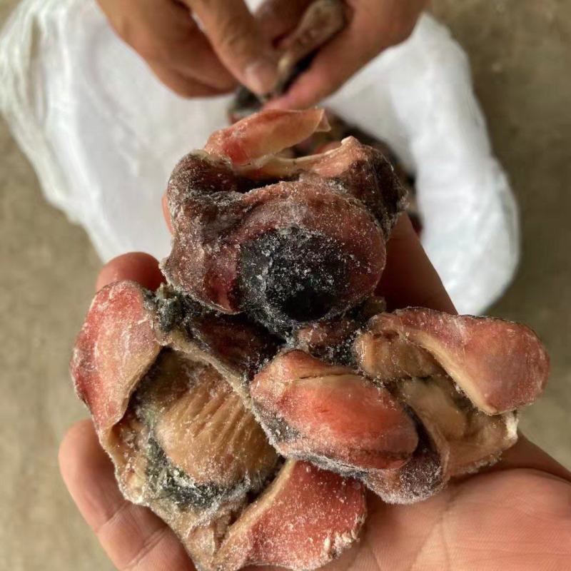 乌鸡胗有货价格便宜需要的老板联系