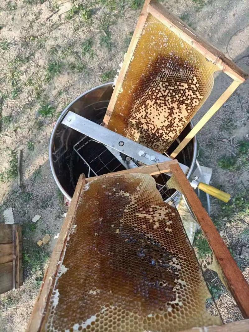 赣南土蜂蜜深山百花蜜自家养蜂自产自销自然成熟蜂蜜