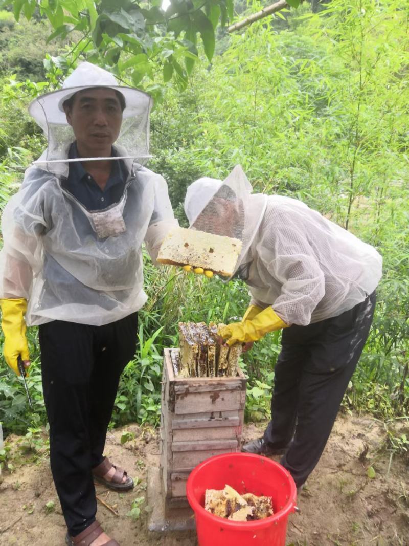 赣南土蜂蜜深山百花蜜自家养蜂自产自销自然成熟蜂蜜