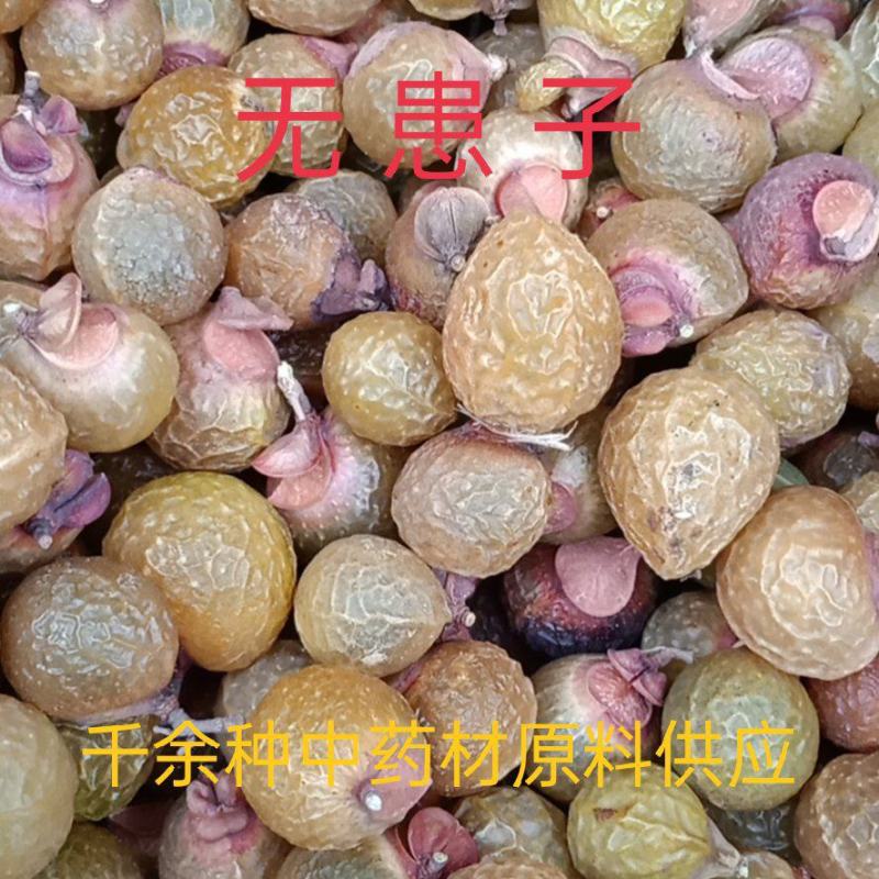 中药材无患子，无患子肉，木患子油患子洗手果新货质量保证