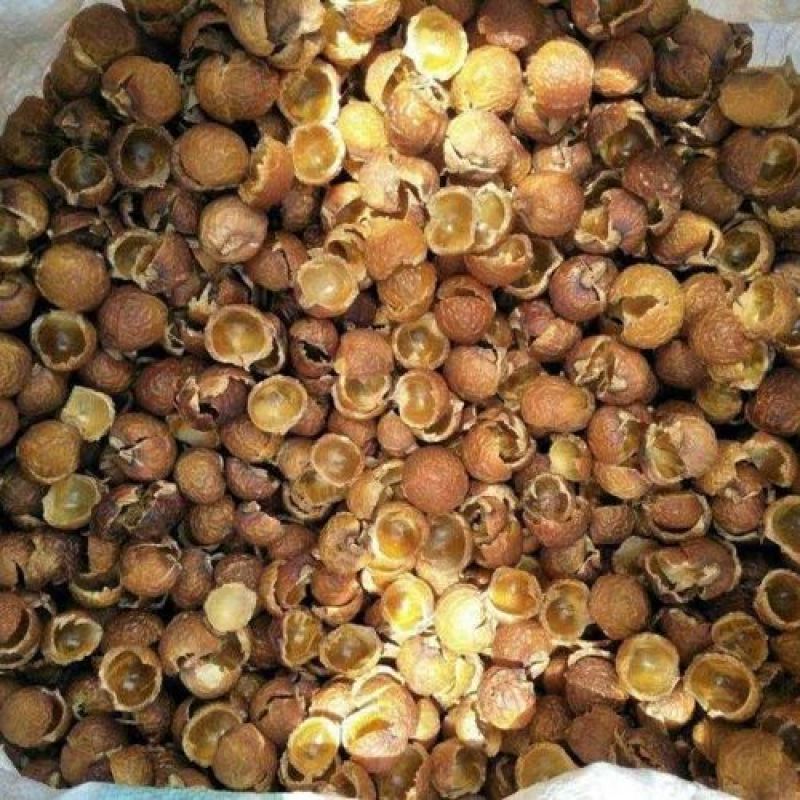 中药材无患子，无患子肉，木患子油患子洗手果新货质量保证