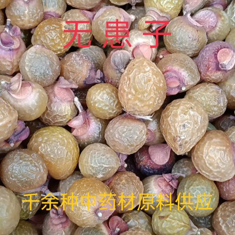 中药材无患子，无患子肉，木患子油患子洗手果新货质量保证