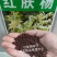 红肤杨种子林木种籽国产散装四季多年生景观绿化工程