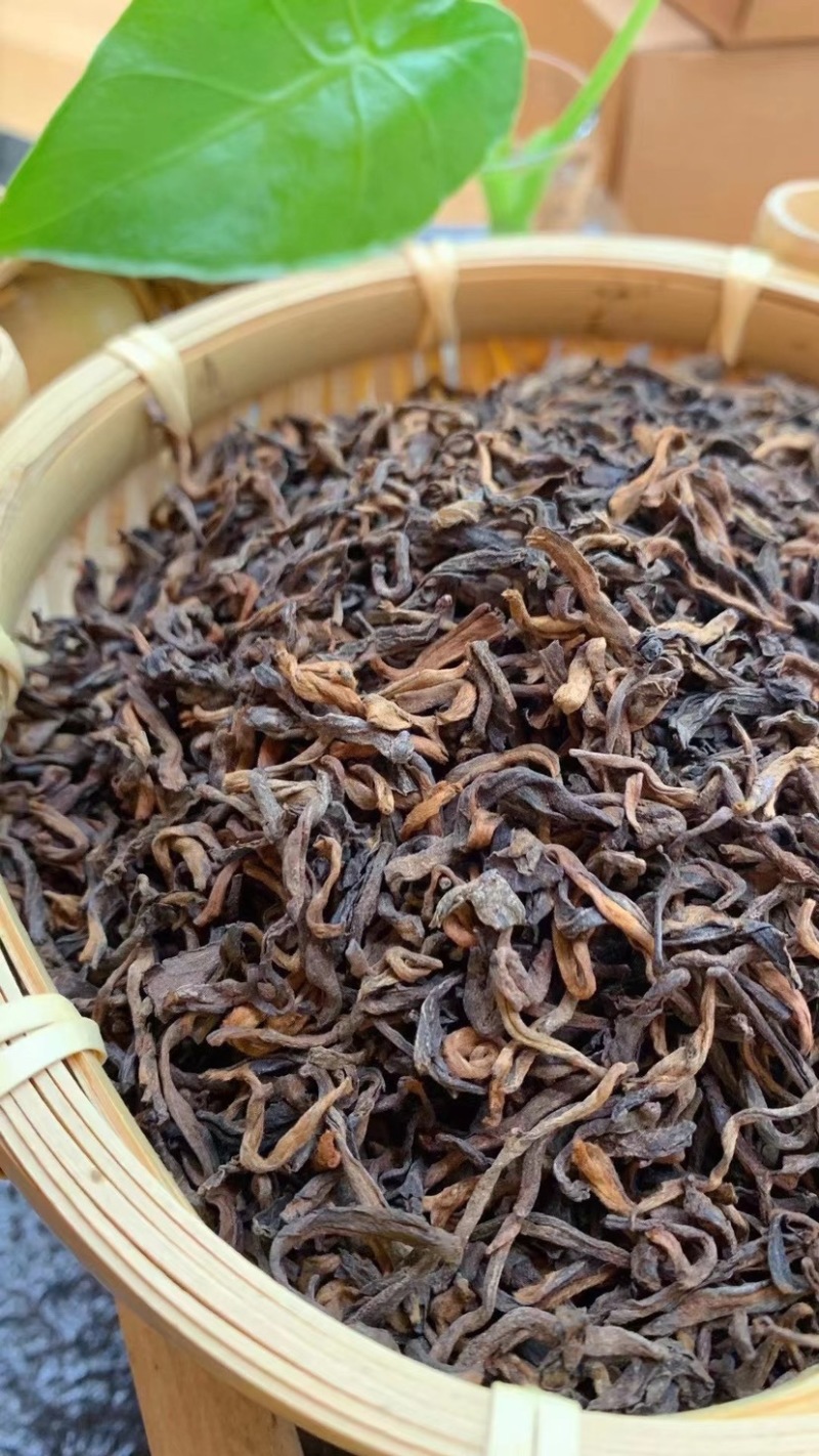 普洱茶散普熟茶金芽陈年老茶普洱茶500克
