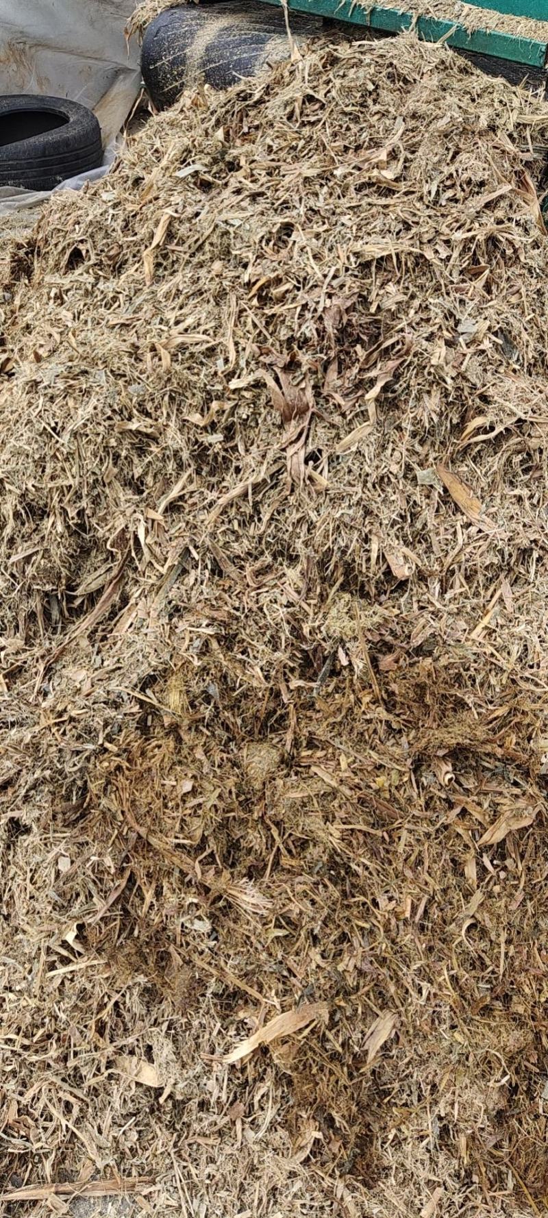 牛，羊，青储饲料