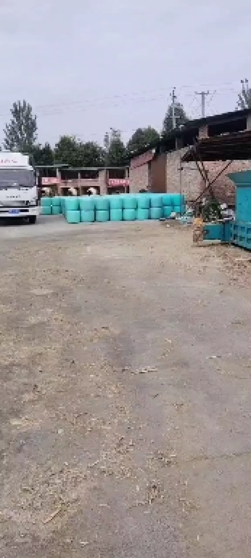 牛，羊，青储饲料
