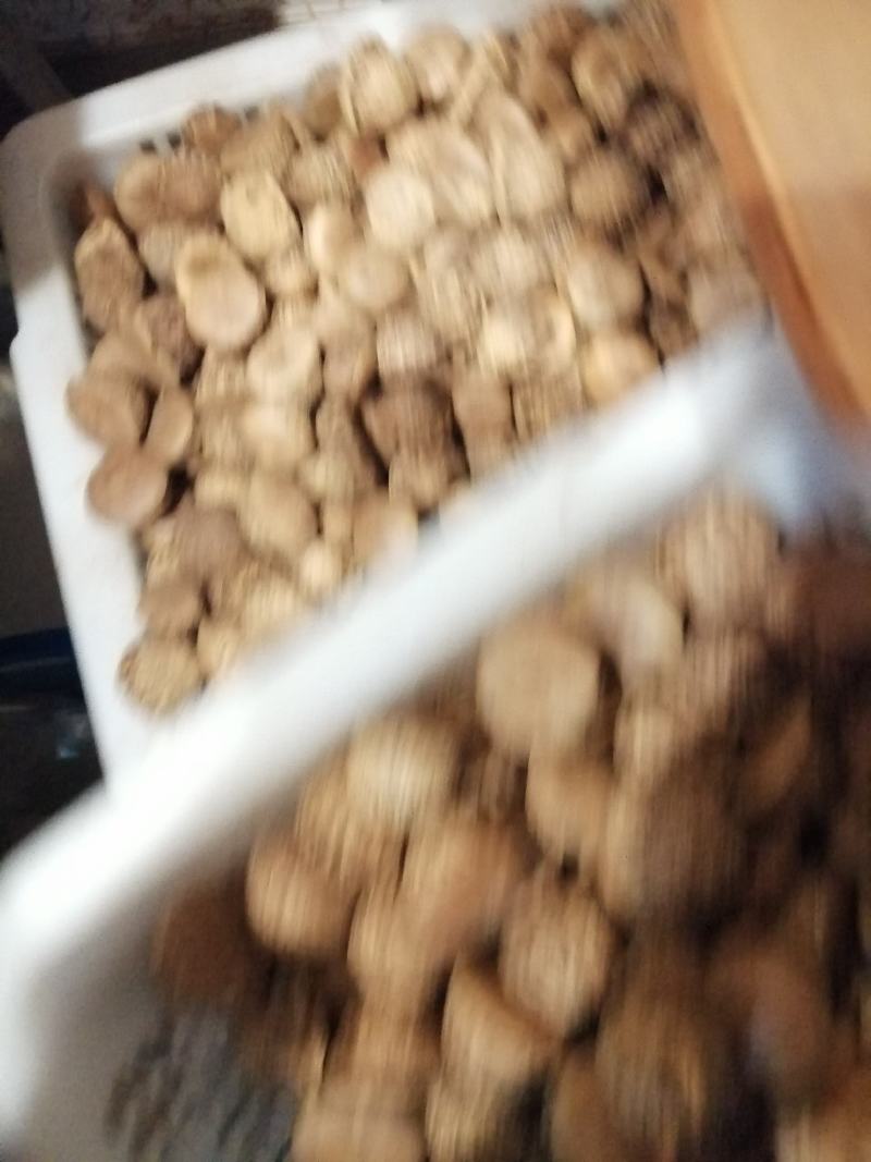 野生壮阳果无硫无添加泡酒泡水精选优质批发零售各种规