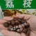 荔枝种子荔枝核果树种子食用水果种子林木种子