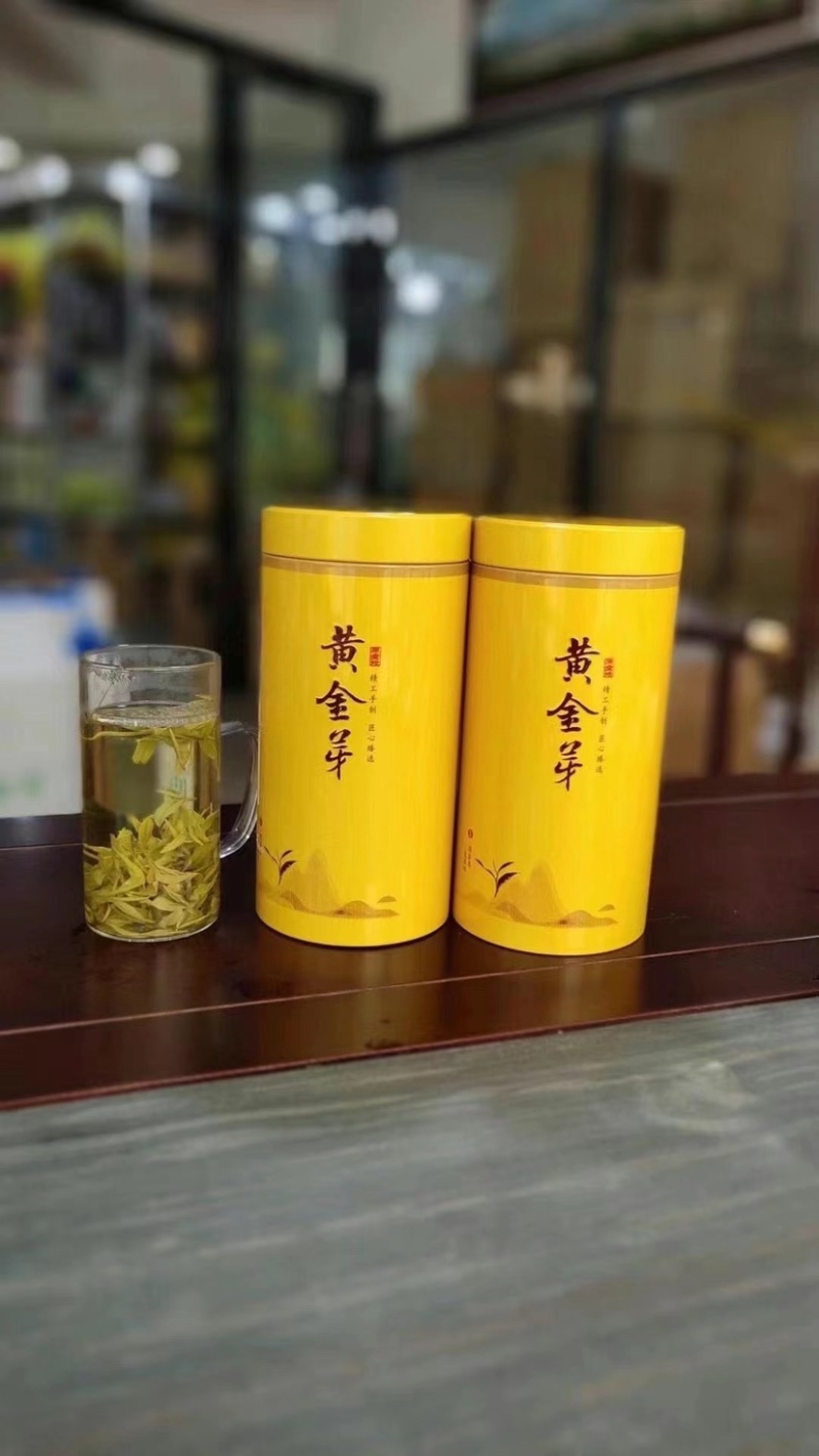 绿茶黄金白茶茶叶新茶春茶白茶500克