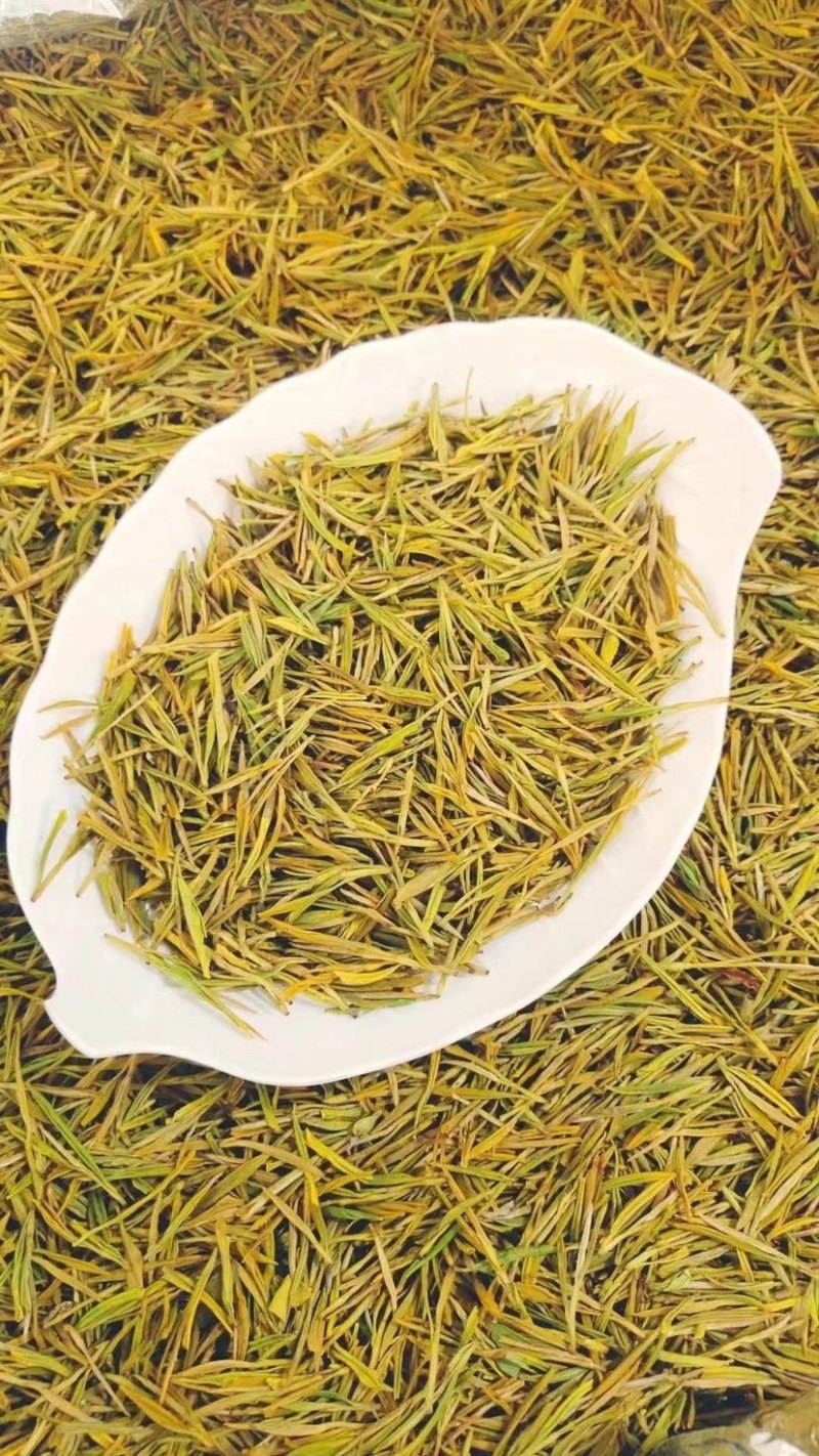 绿茶黄金白茶茶叶新茶春茶白茶500克