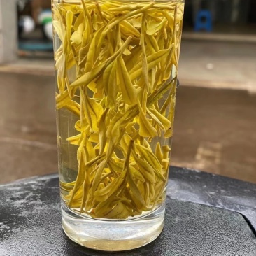 绿茶黄金白茶茶叶新茶春茶白茶500克