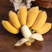 基地批发巴西香蕉树苗营养杯苗小米蕉树苗口感香甜产量王