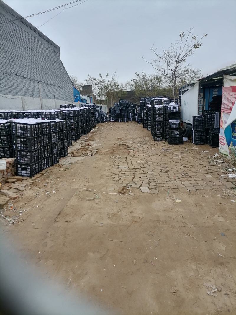红富士苹果，国红苹果有要来拉，货源充足价格优惠，质量好
