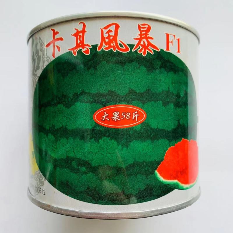 大果58斤，卡其风暴大果西瓜种子抗重茬抗病毒大红瓤西瓜