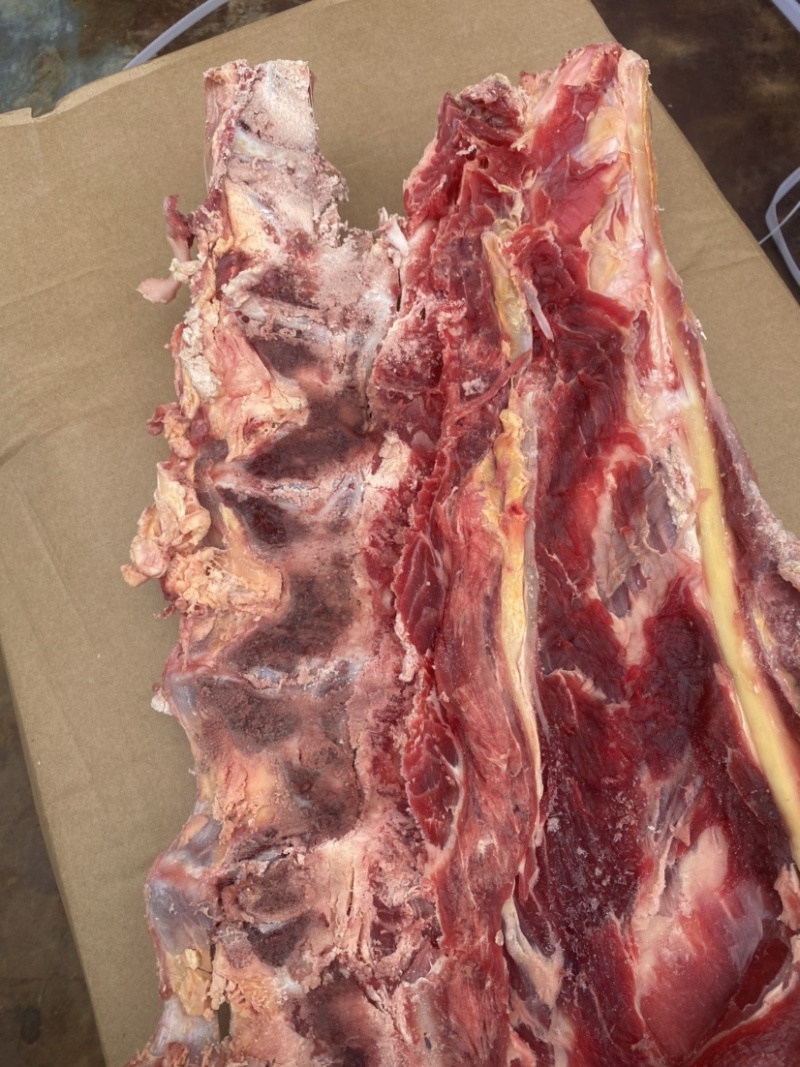 牛羽排骨国产新鲜货！口感佳，带肉率高，煮熟实拍