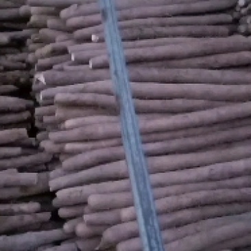 山西白玉山药通货大量有货