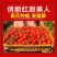 〈一件代发〉攀枝花露天千禧贝贝小番茄水果番茄对接各平台