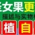 〈一件代发〉攀枝花露天千禧贝贝小番茄水果番茄对接各平台