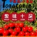 〈一件代发〉攀枝花露天千禧贝贝小番茄水果番茄对接各平台