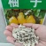 柚子种子红心柚种子沙田柚种子高产柚子种子红心柚苗