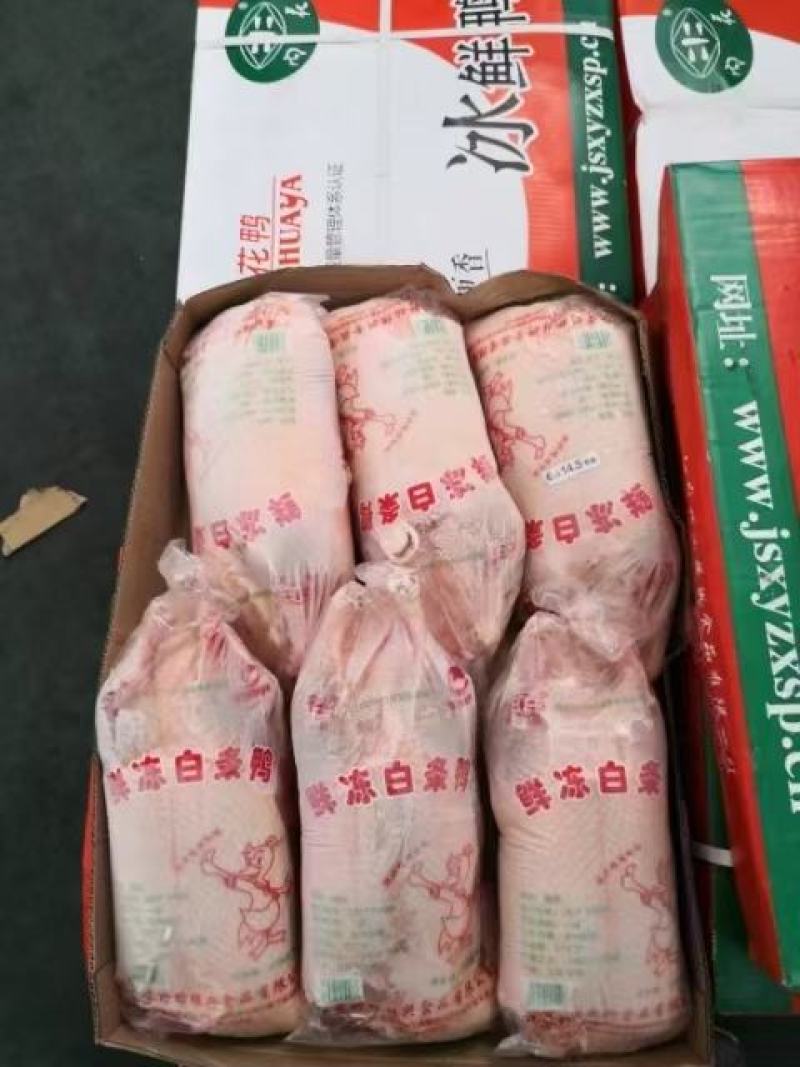 大鸭子4-5斤。可做烤鸭，烧腊。易上色，口感香，出成高。