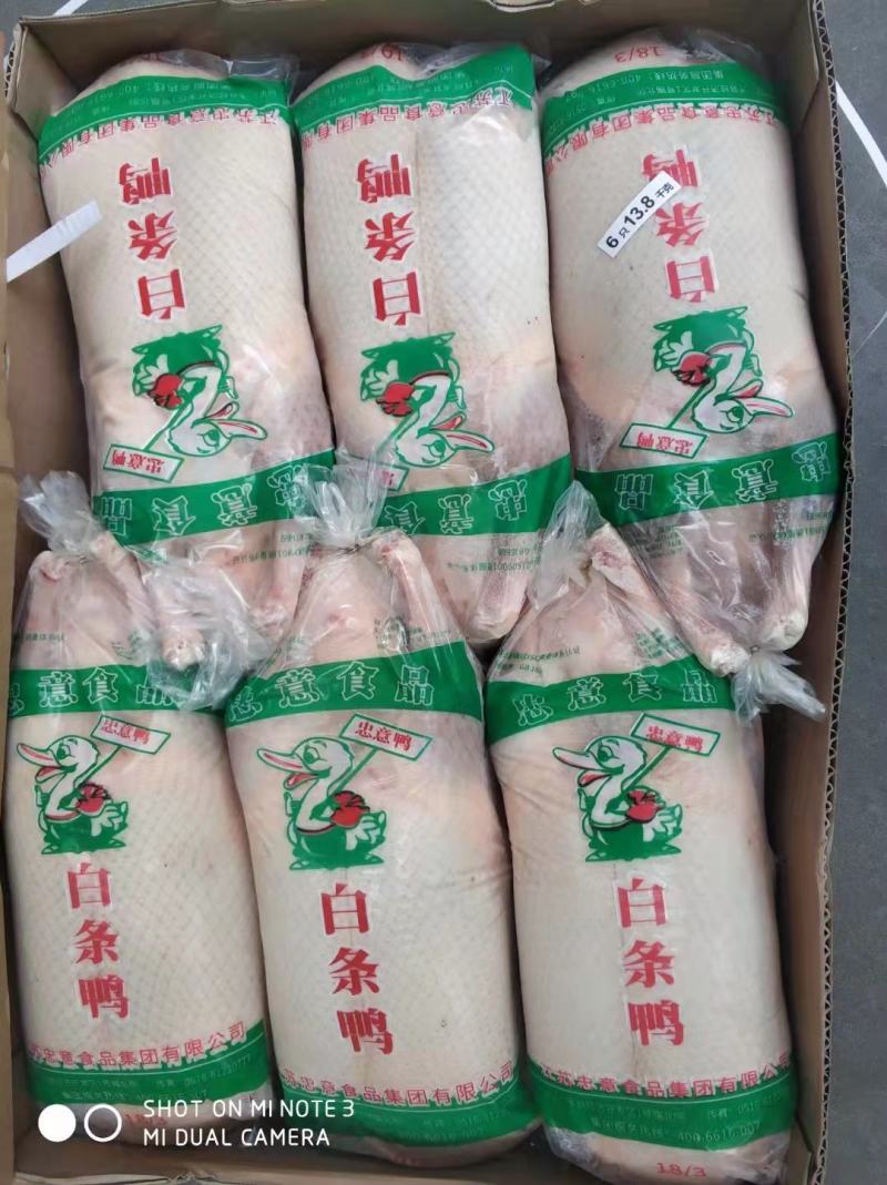 大鸭子4-5斤。可做烤鸭，烧腊。易上色，口感香，出成高。