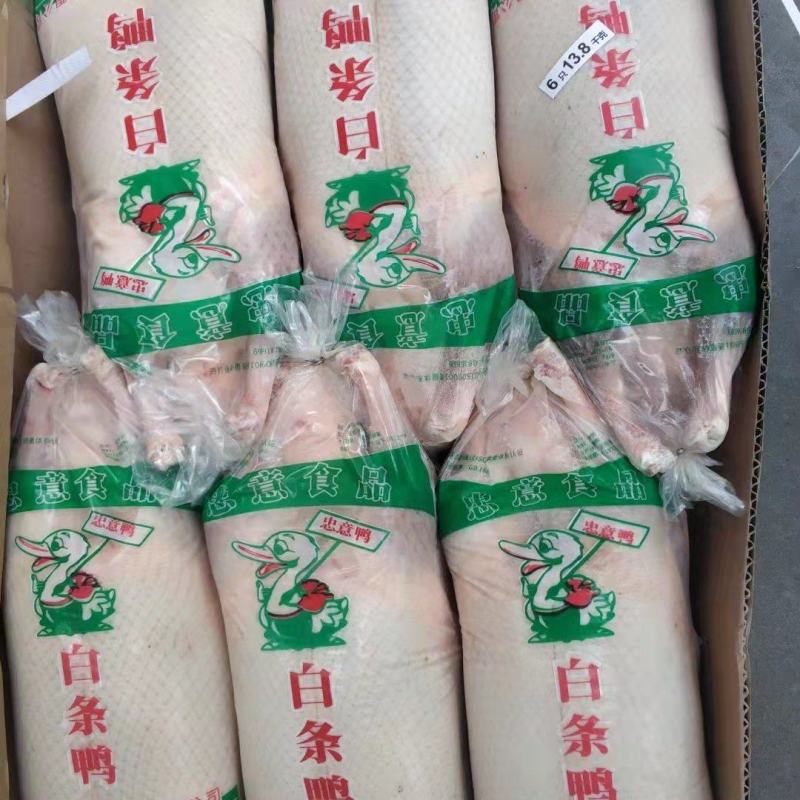 大鸭子4-5斤。可做烤鸭，烧腊。易上色，口感香，出成高。