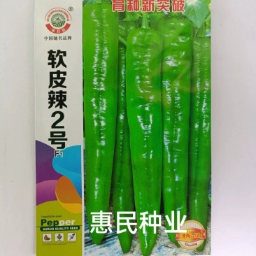 软皮辣椒种子