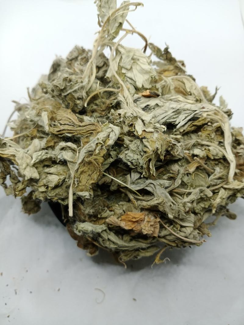 艾叶中药材批发艾叶