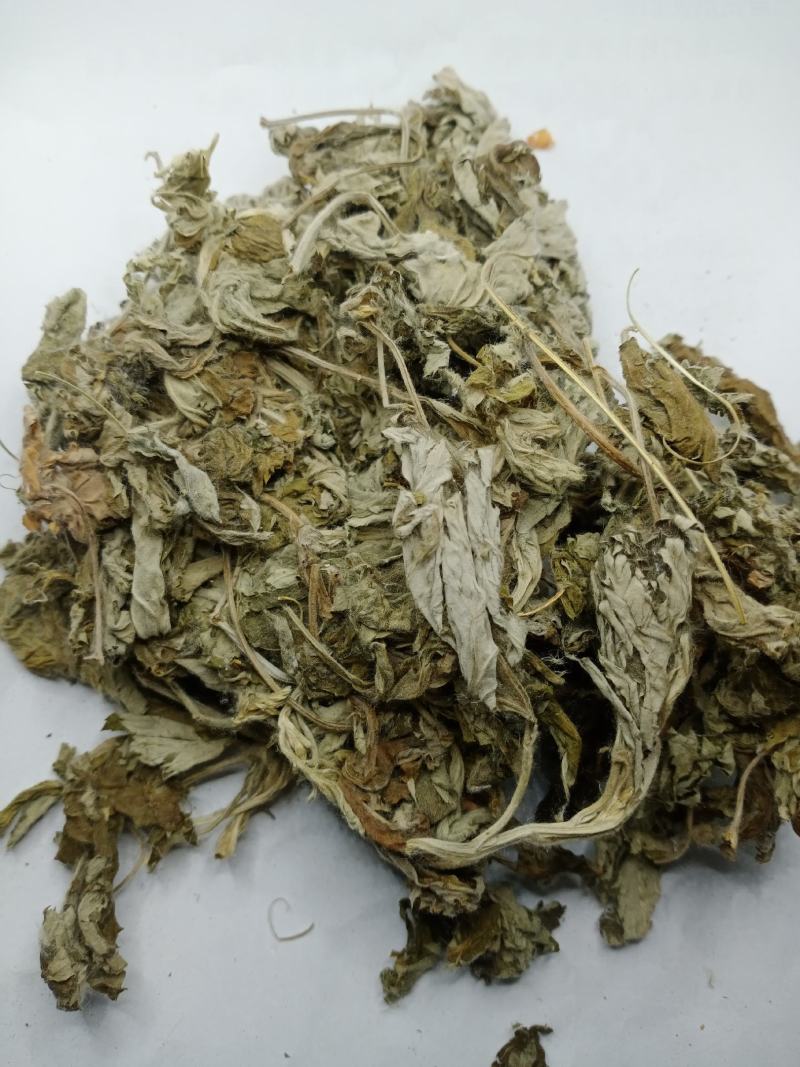 艾叶中药材批发艾叶