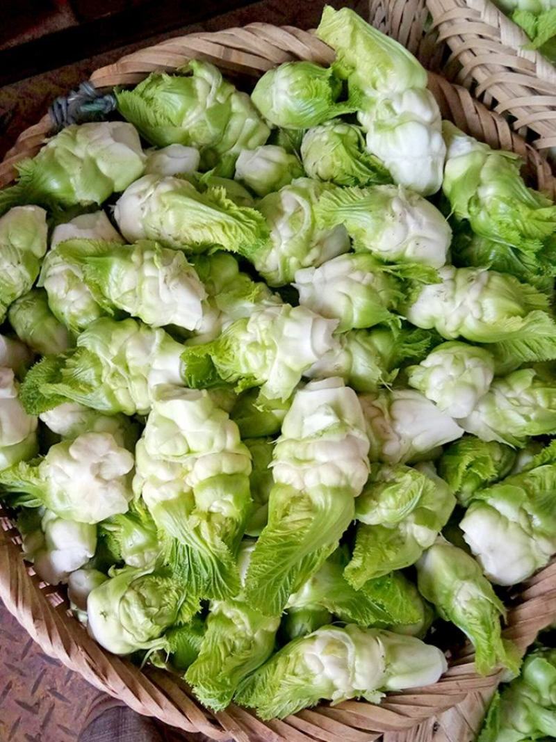 儿菜，又名多子菜，四川精品儿菜，基地直销，可代购，可代发